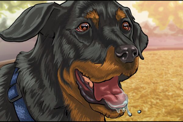 Rottweiler, black and brown coat on a dog, Illustrated by ASB Storyboard Artist, Ryan, Style: Color Frames, 2D Art for Animatic or Storyboard frames